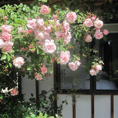 Rose Cottage At The Elms Christchurch Camera foto